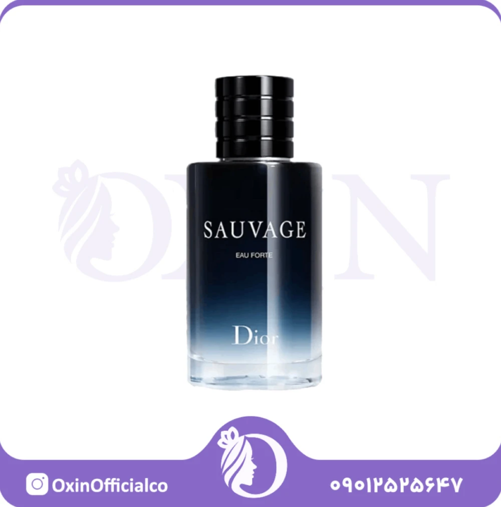 InShot_% (17) ادوپرفیوم مردانه ساواج دیور حجم 100 میل - Image 1